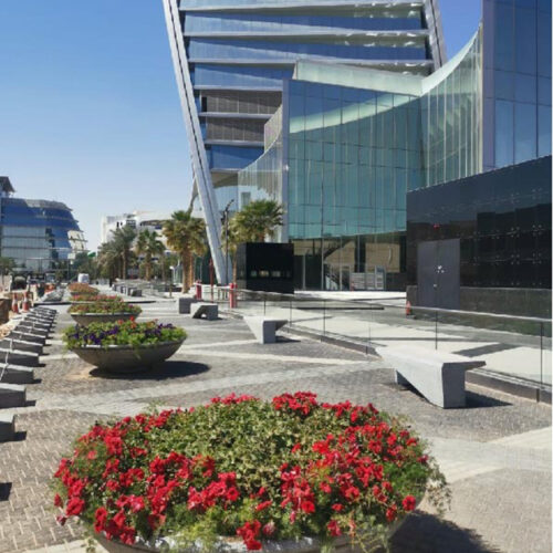 WhatsApp-Image-2025-03-11-at-12.08.29-PM-(1)